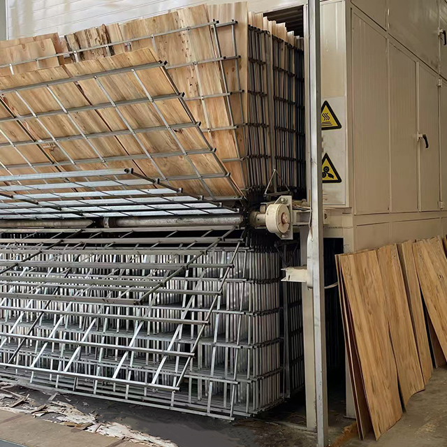 Máquina secadora automática de chapa de madera para producción de madera contrachapada