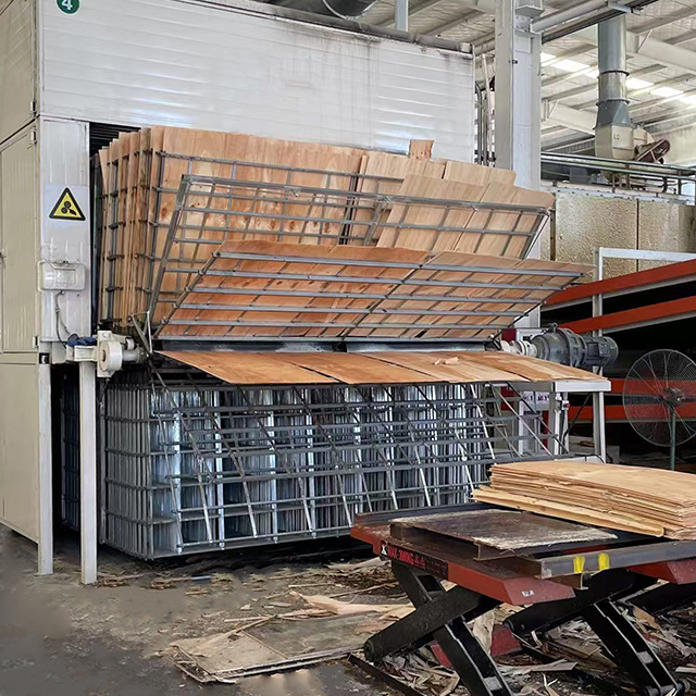 Máquina secadora automática de chapa de madera para producción de madera contrachapada