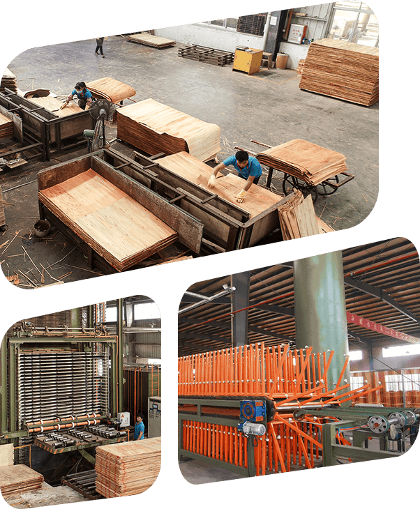 Soluciones de máquina de producción de chapa de madera