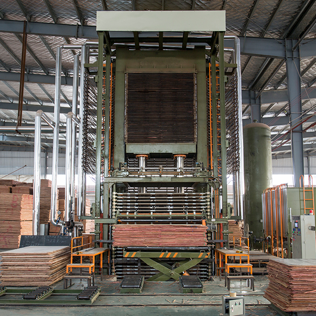 Línea automática de máquinas de prensado en caliente de madera contrachapada de múltiples capas
