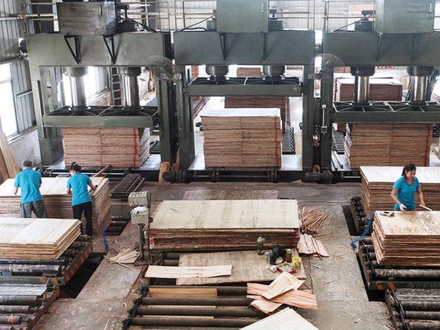 M&aacute;quina de prensa caliente de madera contrachapada el&eacute;ctrica