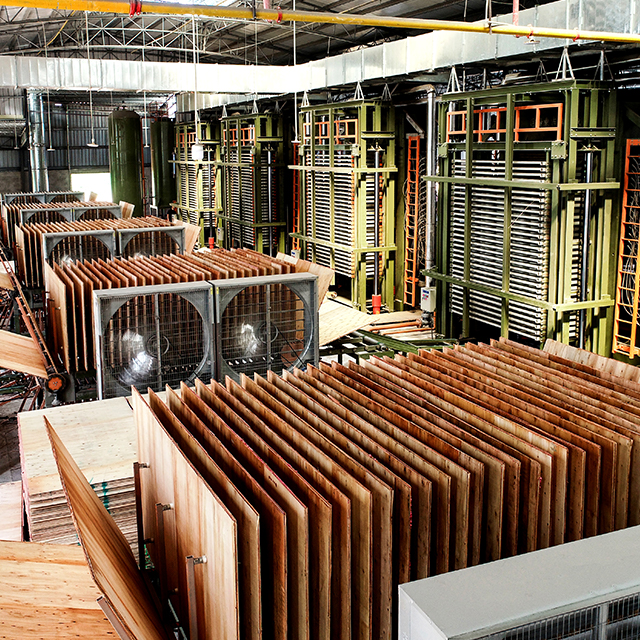 Línea automática de máquinas de prensado en caliente de madera contrachapada de múltiples capas
