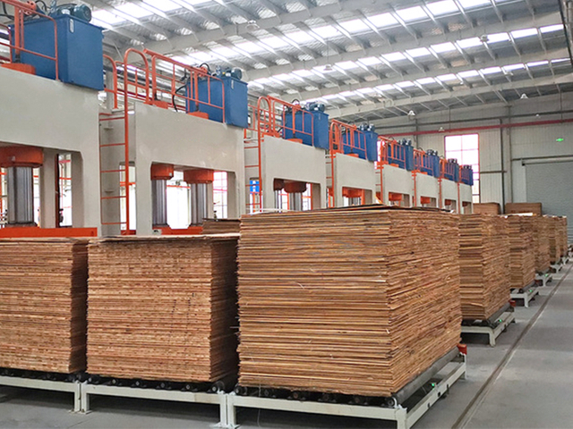 m&aacute;quina para extender el pegamento de madera contrachapada